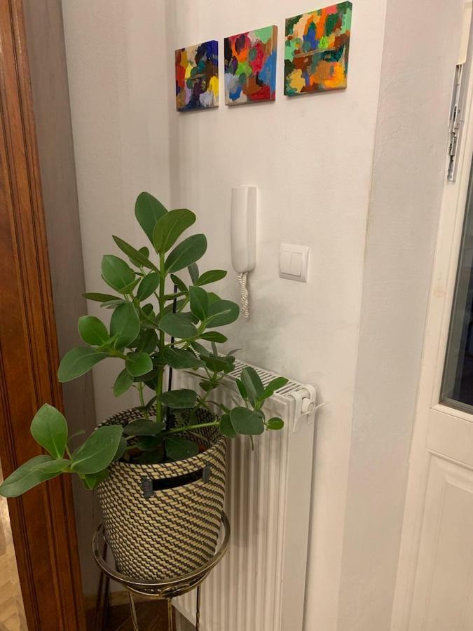 Charming Studio Apartment In The Heart Of The Jewish District! Krasków Εξωτερικό φωτογραφία